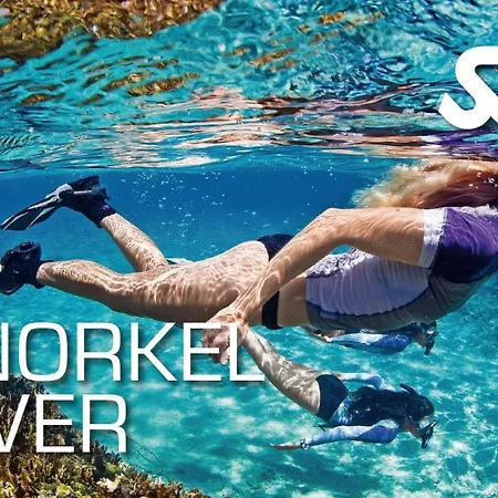 A Casa Minhas Netas * カルダス・ダ・ライーニャ