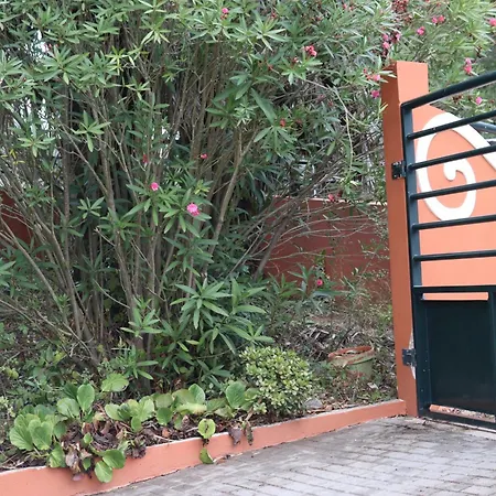 Feriehus A Casa Minhas Netas *