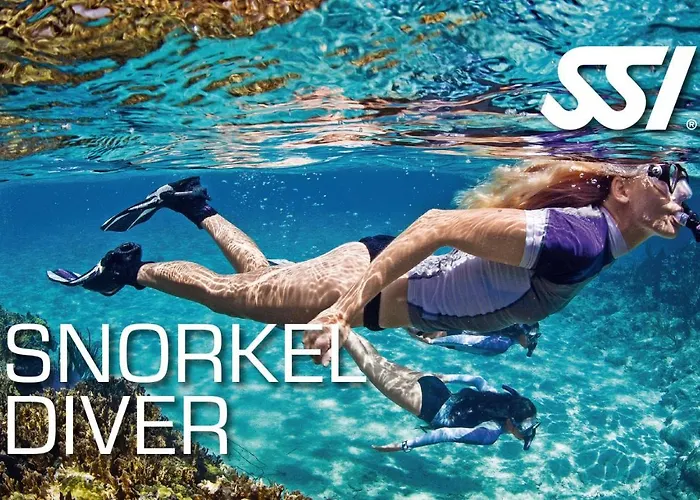 A Casa Minhas Netas * Caldas Da Rainha