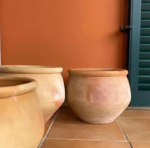 Vakantiehuis A Casa Minhas Netas